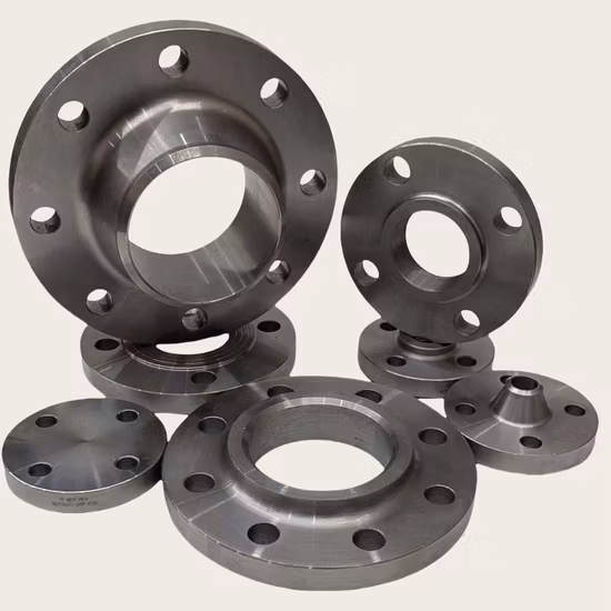 ANSI B16.5 150lbs/DIN/BS/En 탄소 및 스테인레스강 단조 플랜지